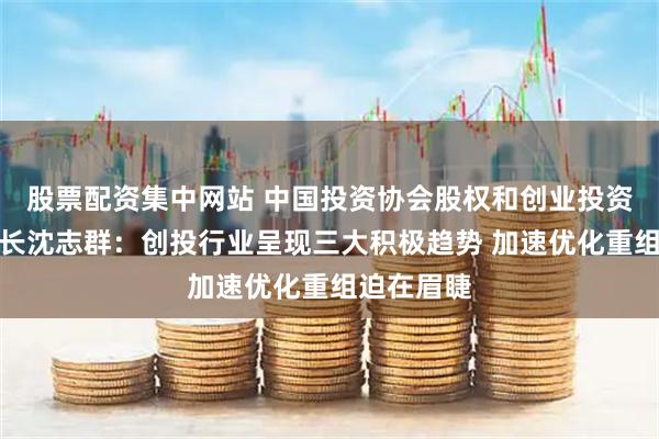 股票配资集中网站 中国投资协会股权和创业投资委员会会长沈志群：创投行业呈现三大积极趋势 加速优化重组迫在眉睫